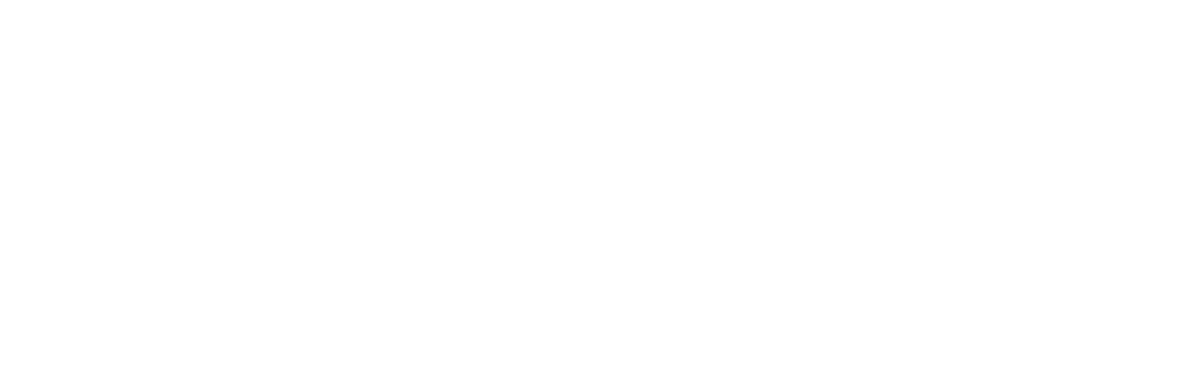 QHSE Institute*